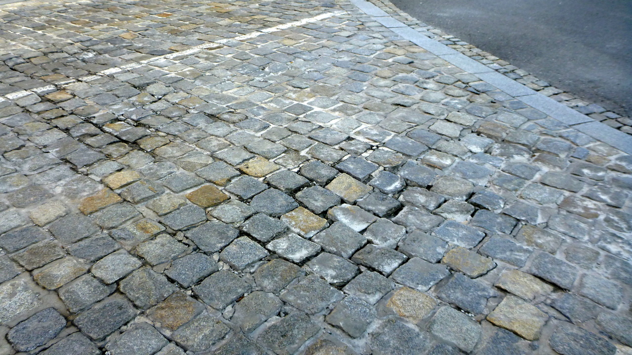 p1130451.jpg