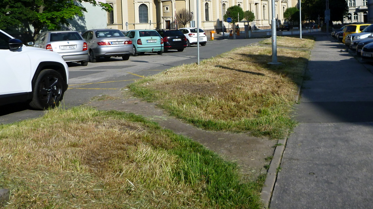 p1100891.jpg