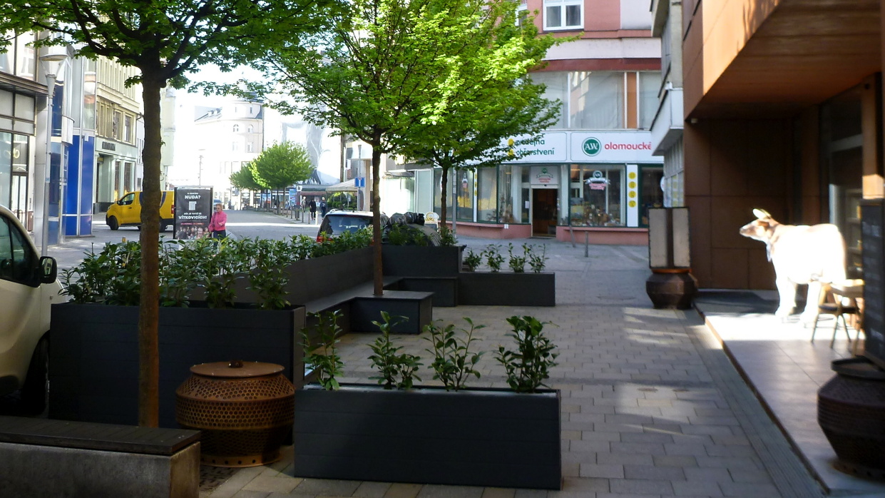 p1100656.jpg
