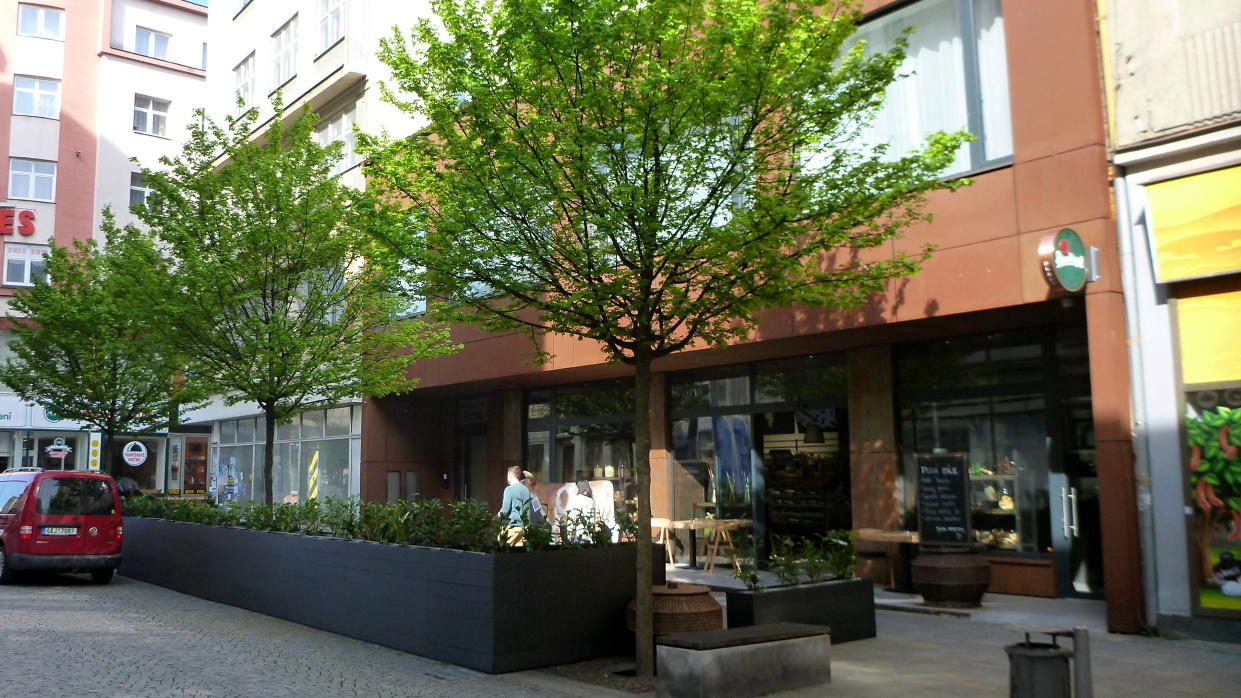 p1100660.jpg