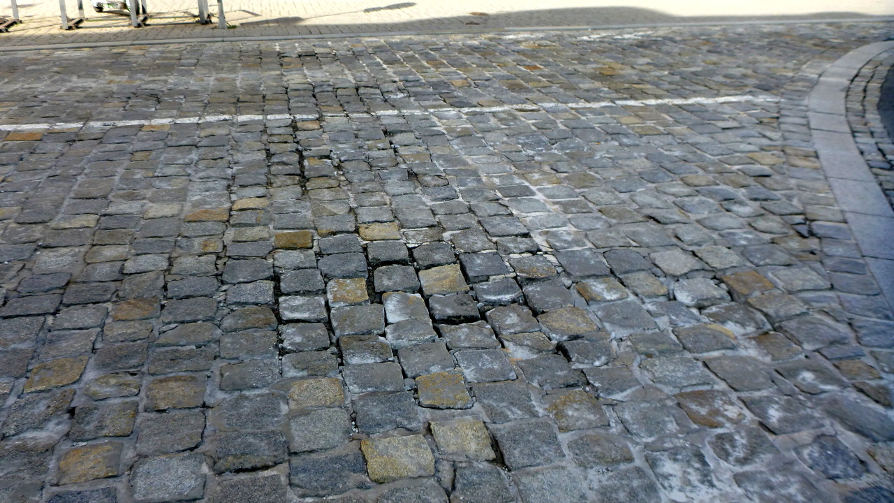 p1130452.jpg